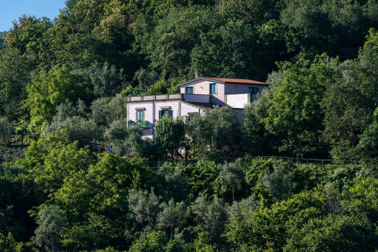 Il Casale Sorrento Hotel Exterior foto